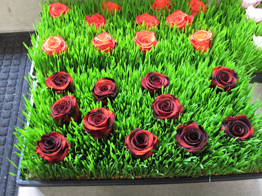 You can wire freeze-dried roses into your arrangements and they last a few weeks!