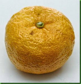 Yuzu citrus