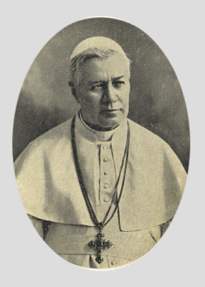 San Pío X -