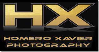 logo logo