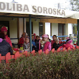 Kr&aacute;sna h&ocirc;rka a Turniansky hrad