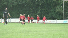 2011 - 10 JUN - WVV F4 TER APEL TOERNOOI 017.jpg