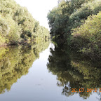 DSCN4532.JPG