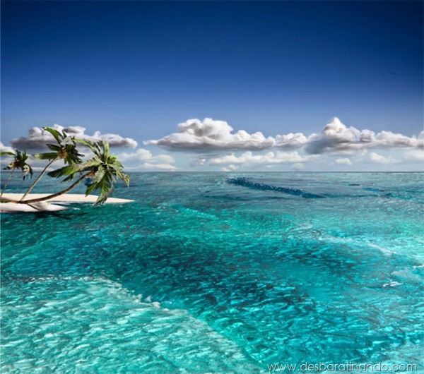 diorama-strange-worlds-diy-paradise-matthew-albanese-1 diorama-strange-worlds-diy-paradise-matthew-albanese-1