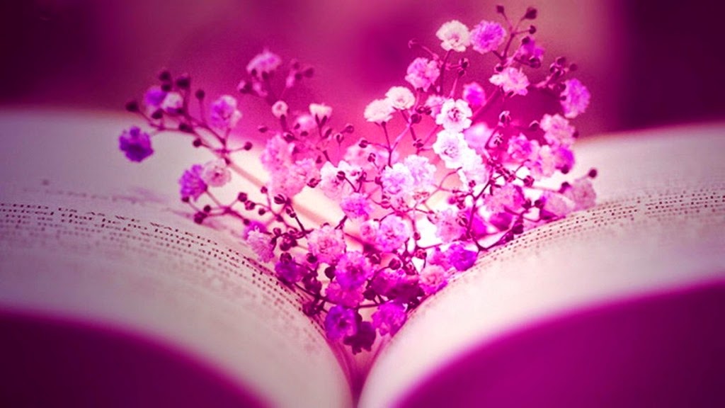 [facebook_flowers_pink_books_timeline_monochrome_cover_pages_1600x900_32075%255B7%255D.jpg]