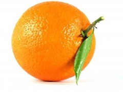laranja-e-sua-origem