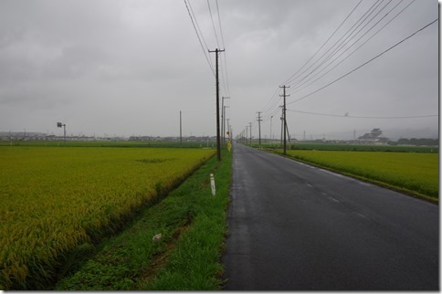 IMGP8796 IMGP8796
