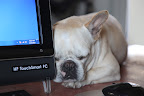 Time to wait for the software updates....zzzzz..