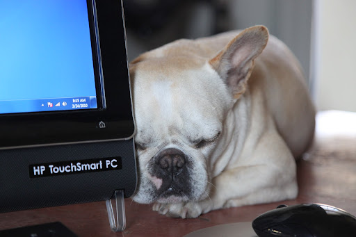 Time to wait for the software updates....zzzzz..