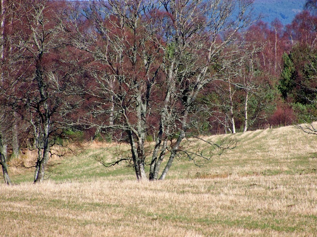 [7%2520March%25205%255B3%255D.jpg]