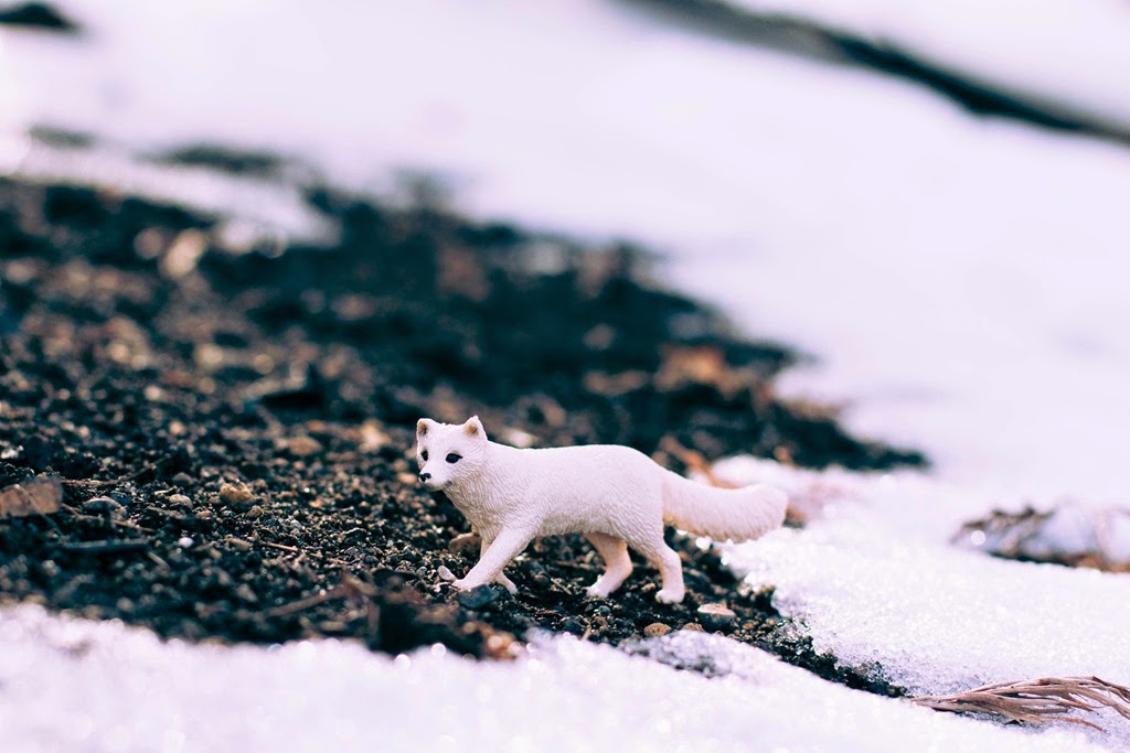 [IMG_7192%255B4%255D.jpg]