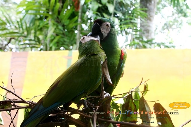 Langkawi Wildlife Park Langkawi Wildlife Park