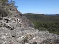 Square Top Photo