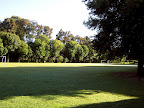 20100328084642PICT4147.JPG