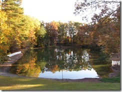 Our backyard pond November 2011