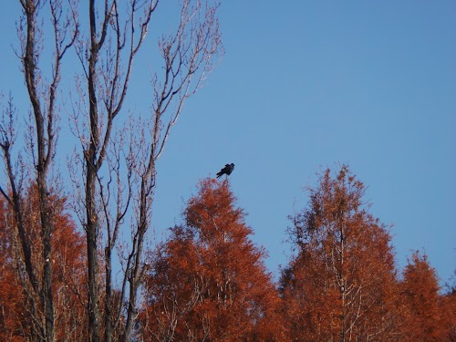 20121208_124840.JPG