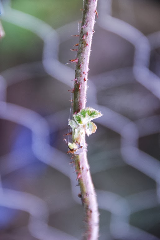 [DSC_0319%255B4%255D.jpg]