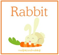 Rabbit Box Rabbit Box