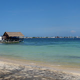 Utila
