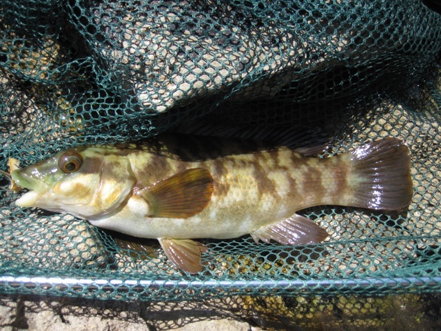 [IMG_0568%255B6%255D.jpg]