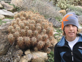 Cactus with attitude next to kid with attitude