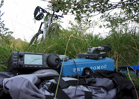 Shack in the grass.