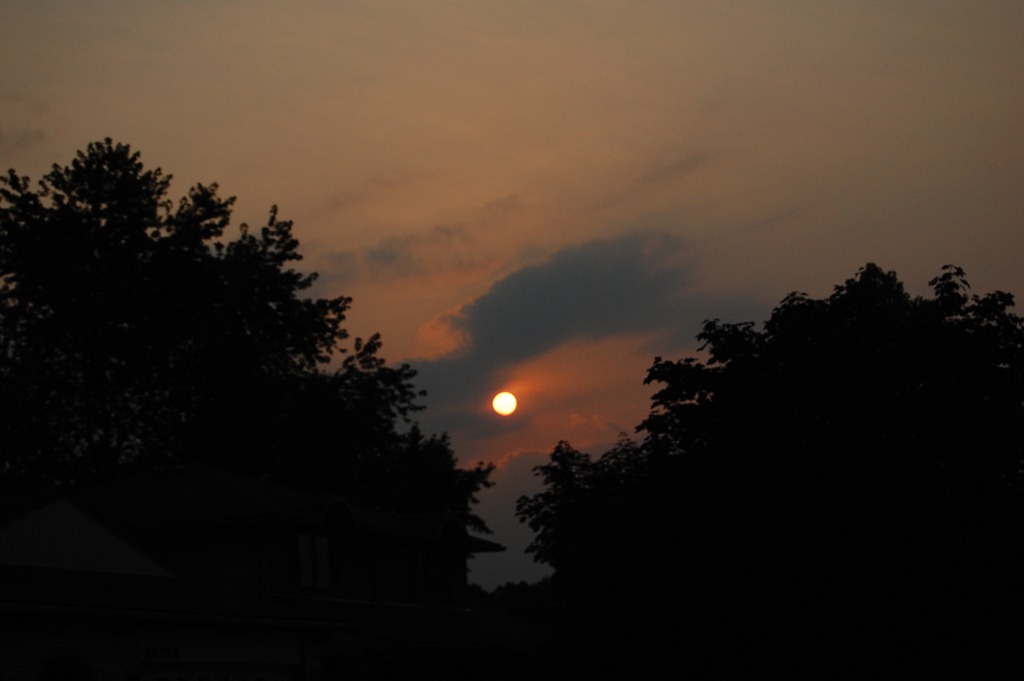 [DSC_1325%255B4%255D.jpg]