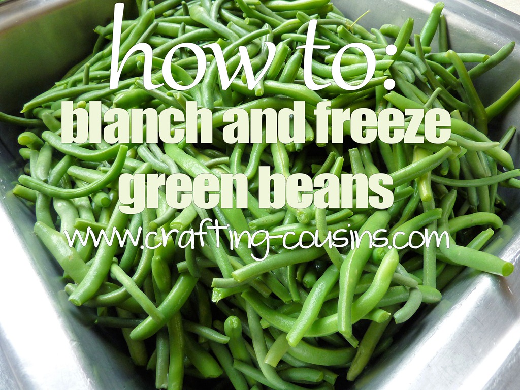 [Crafty%2520Cousins%2527%2520tips%2520on%2520how%2520to%2520blanch%2520and%2520freeze%2520fresh%2520green%2520beans%255B5%255D.jpg]