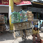 IMG_1117.JPG