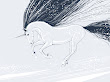 Beautiful Pard