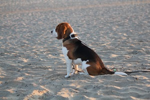 IMG_6552 IMG_6552