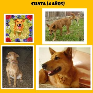 m_chata.jpg