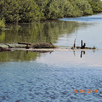 DSCN4174.JPG