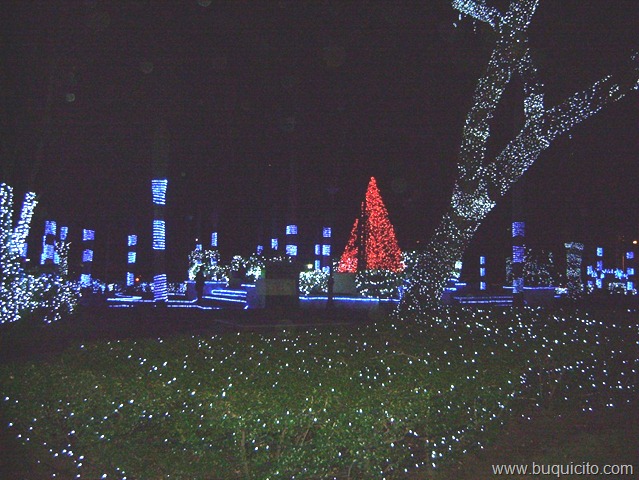 [foto1parqueFranboyanes13.jpg]