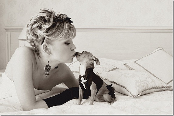 pet-photography2 pet-photography2