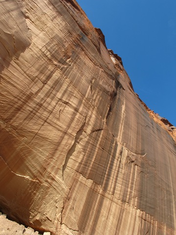 Canyon de Chelly National Monument White House Trail (53)