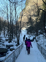 IMG_0125.jpg Photo