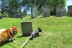 A Stroll Through the Cemetery in East Hampton