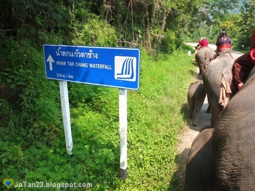 [things-to-do-in-chiang-mai-patara-elephant-farm-waterfall%255B1%255D%255B1%255D.jpg]