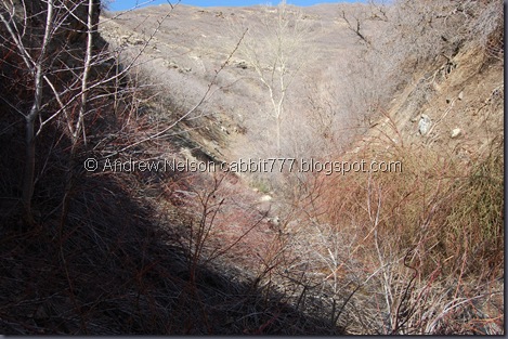 DSC_0976 DSC_0976