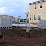 New Home Construction