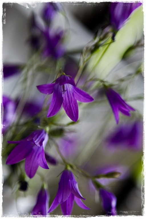 [IMG_1505ram%255B2%255D.jpg]