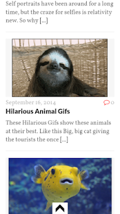 How to get Overload Buzz - Fun Every Day! lastet apk for bluestacks