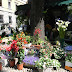 R0028066.JPG