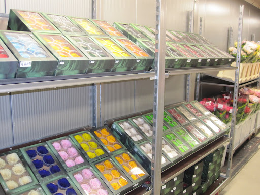 Pictured here are freeze-dried roses.