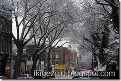 IMG_0767 IMG_0767