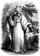 Archdruid In His Full Judicial Costume