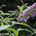 Dscn3494