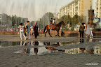 Horseriding in front of the circus