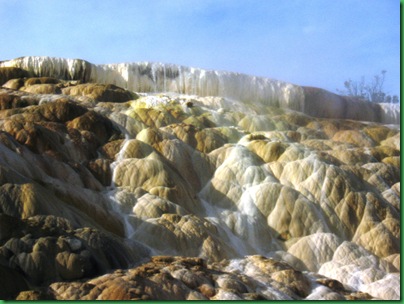 Mammoth Hot Springs Terraces (265)